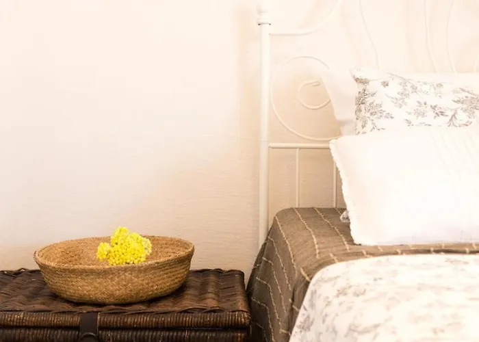 Case de vacanță House Misto *